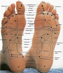 Reflexology chart